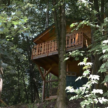 Treehouse Velké Losiny エクステリア 写真